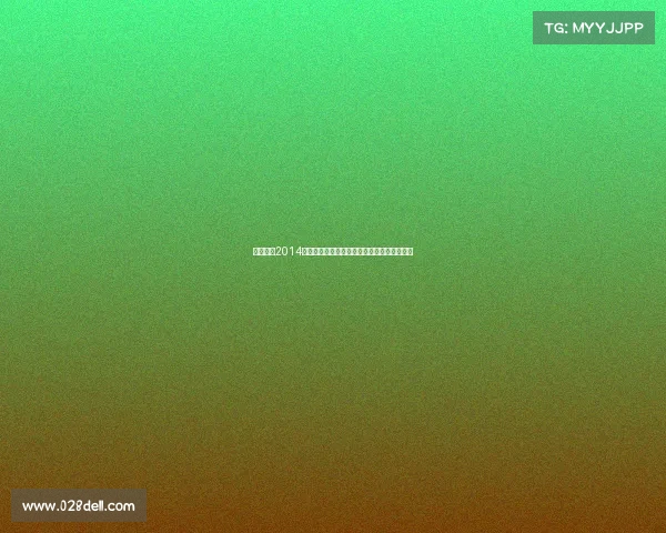 桑巴之国2014世界杯足球盛况空前全球焦点齐聚巴西绿茵场